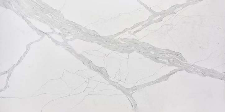 71d123_04dc81583ff94edc8f31bd874001df76~mv2