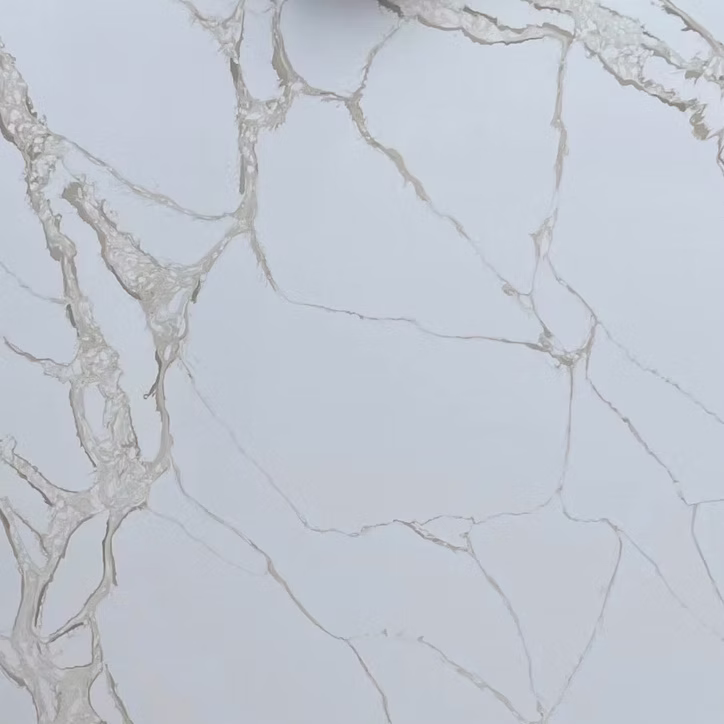 71d123_16f799cdc10141c2906c8c1267610f48~mv2