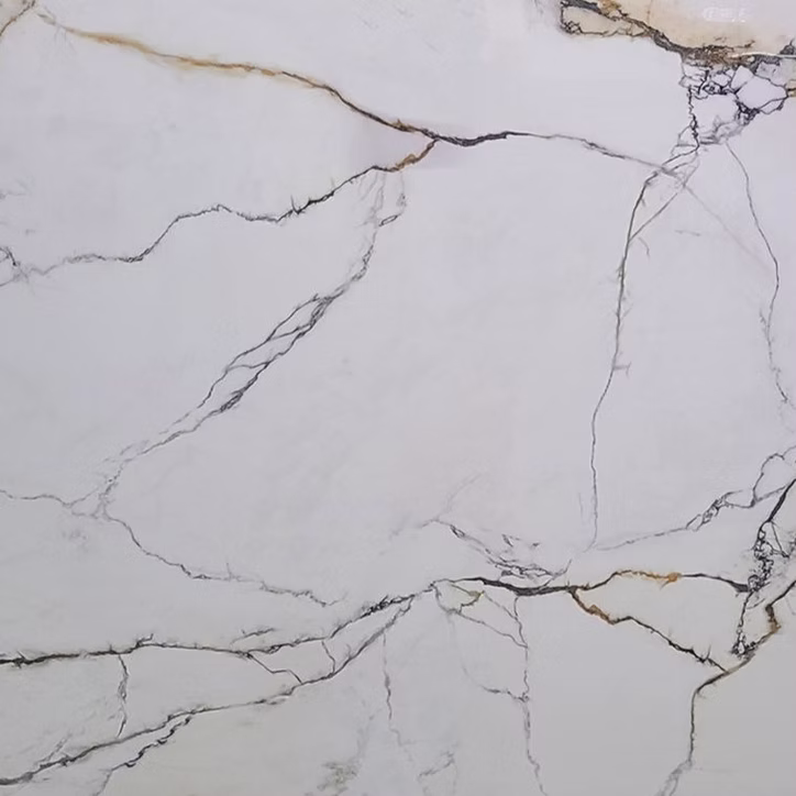 71d123_19e1e252a3334f6fb6f18b7ef417c67c~mv2