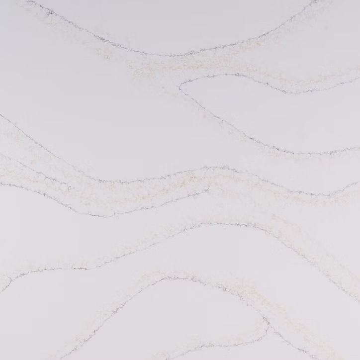 71d123_1ae147ad0614470d8c6dfb05626e0100~mv2