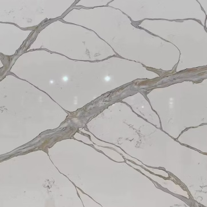 71d123_30e5009b963a474dbf69a1dbfe9ff175~mv2