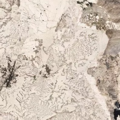 71d123_356bb51c02f7470994700e2fa32b2342~mv2