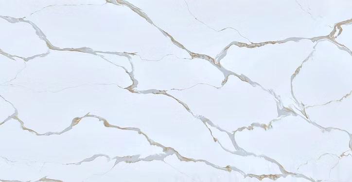 71d123_4a578d088d3d4bd6916e7a6f7de6ccb4~mv2