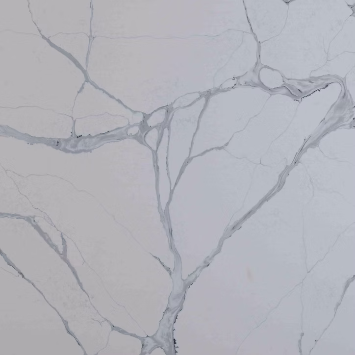 71d123_4e7f1468132c44de8f7b8cdd9224d32c~mv2