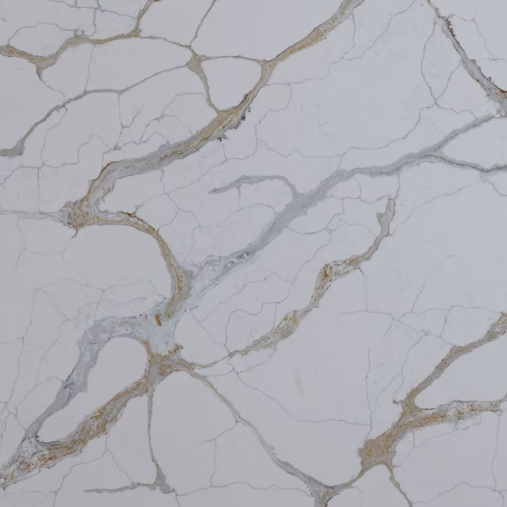 71d123_52a385405ab34d7aaf8f9cfd45ca9673~mv2