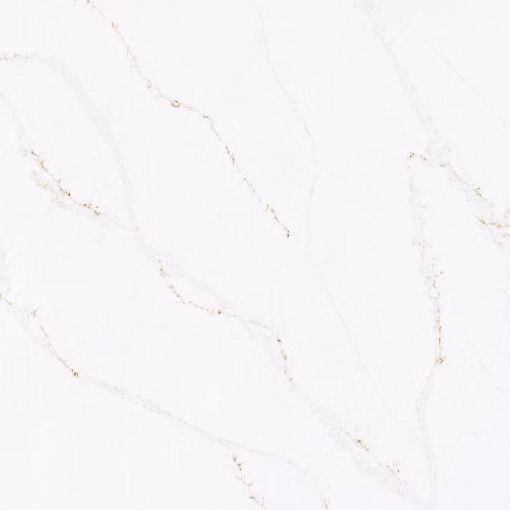 71d123_56dd520bc46142c1819eee69b5f2774d~mv2