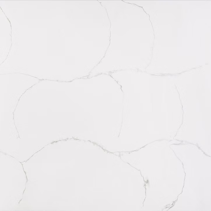 71d123_67fb29822d504cca96b8846caaa5f186~mv2