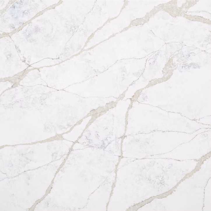 71d123_6e5c42efcdcc4c80babcc32dcbea3760~mv2