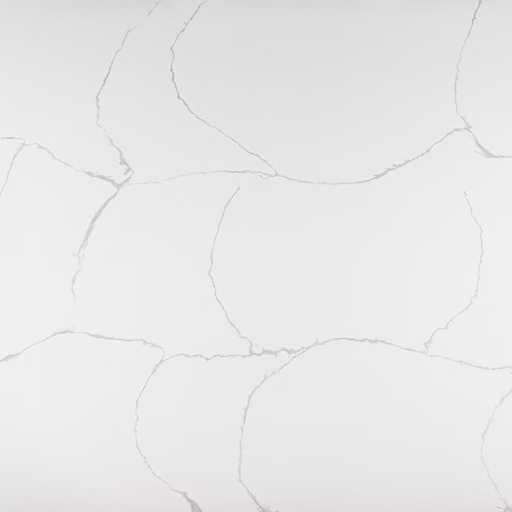 71d123_8bff6b8a672b400f80745e7e354256ad~mv2