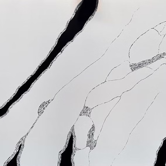 71d123_8e02a5a64181471b925e7592a954a76d~mv2