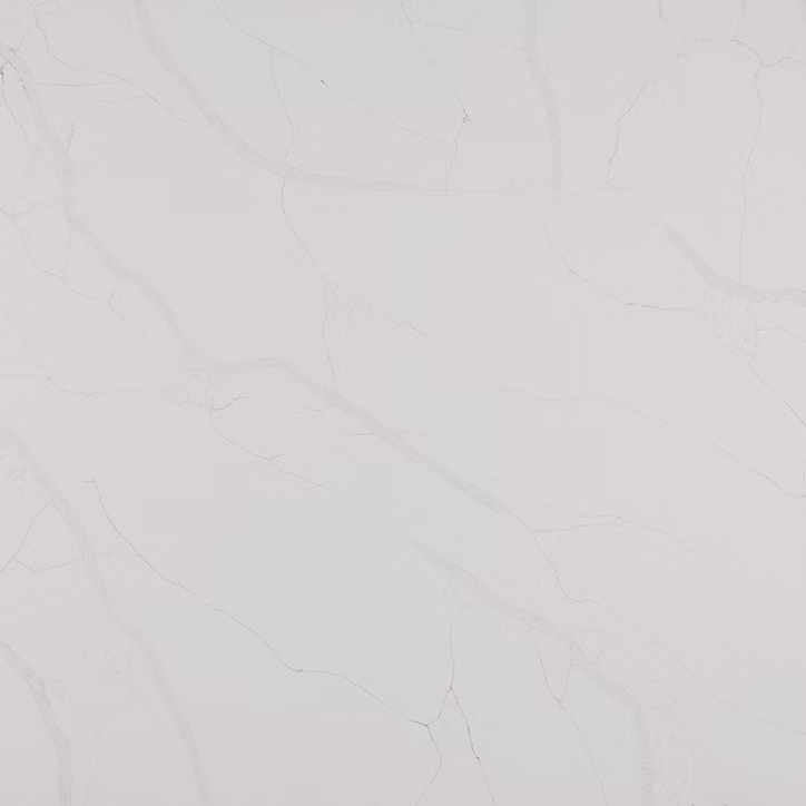 71d123_97737237bd0842b489a08bf6e56f3022~mv2