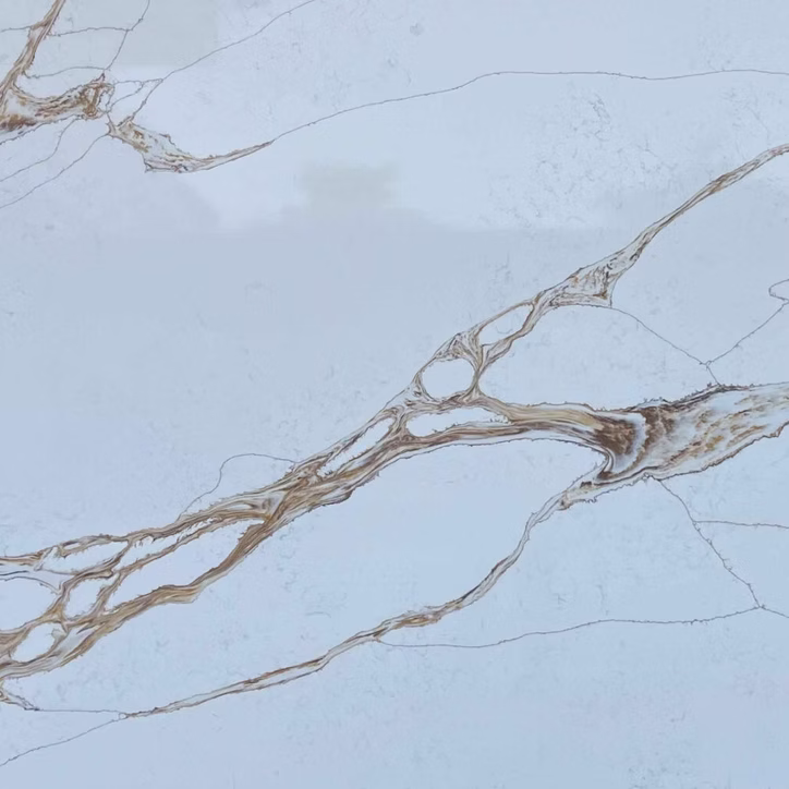 71d123_bef4993696494512a175b89ca720f94f~mv2