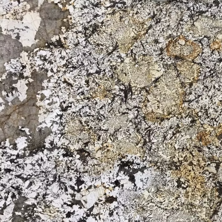 71d123_ca474a999bf94349b976b3797173923d~mv2