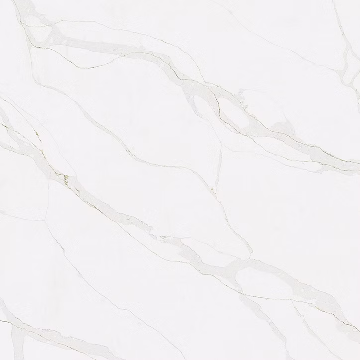 71d123_cfde74dba4a8406a84d7a87462a6955f~mv2