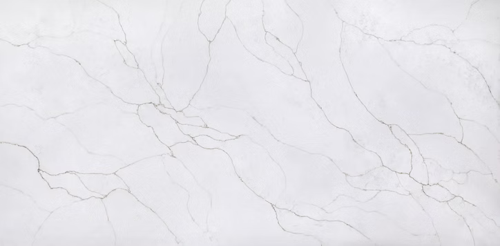 71d123_d616816e7c8b493e827dc2ab4fac8044~mv2