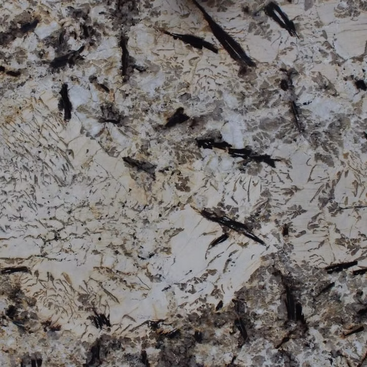 71d123_d694df9659714a2fb58f1bc0f1c5bb01~mv2