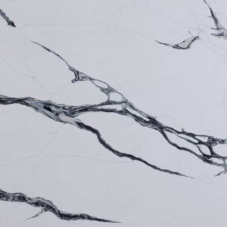 71d123_e8fe051e8ec04b4abc74ae0a0d00c24a~mv2