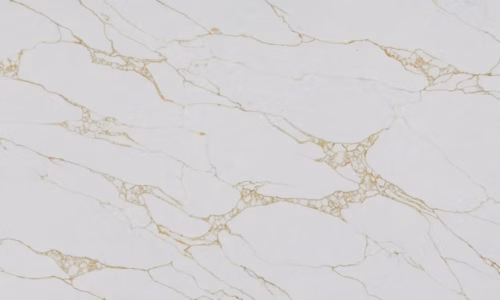 71d123_3517dc4f1b054b0e9bf576276c1186de~mv2